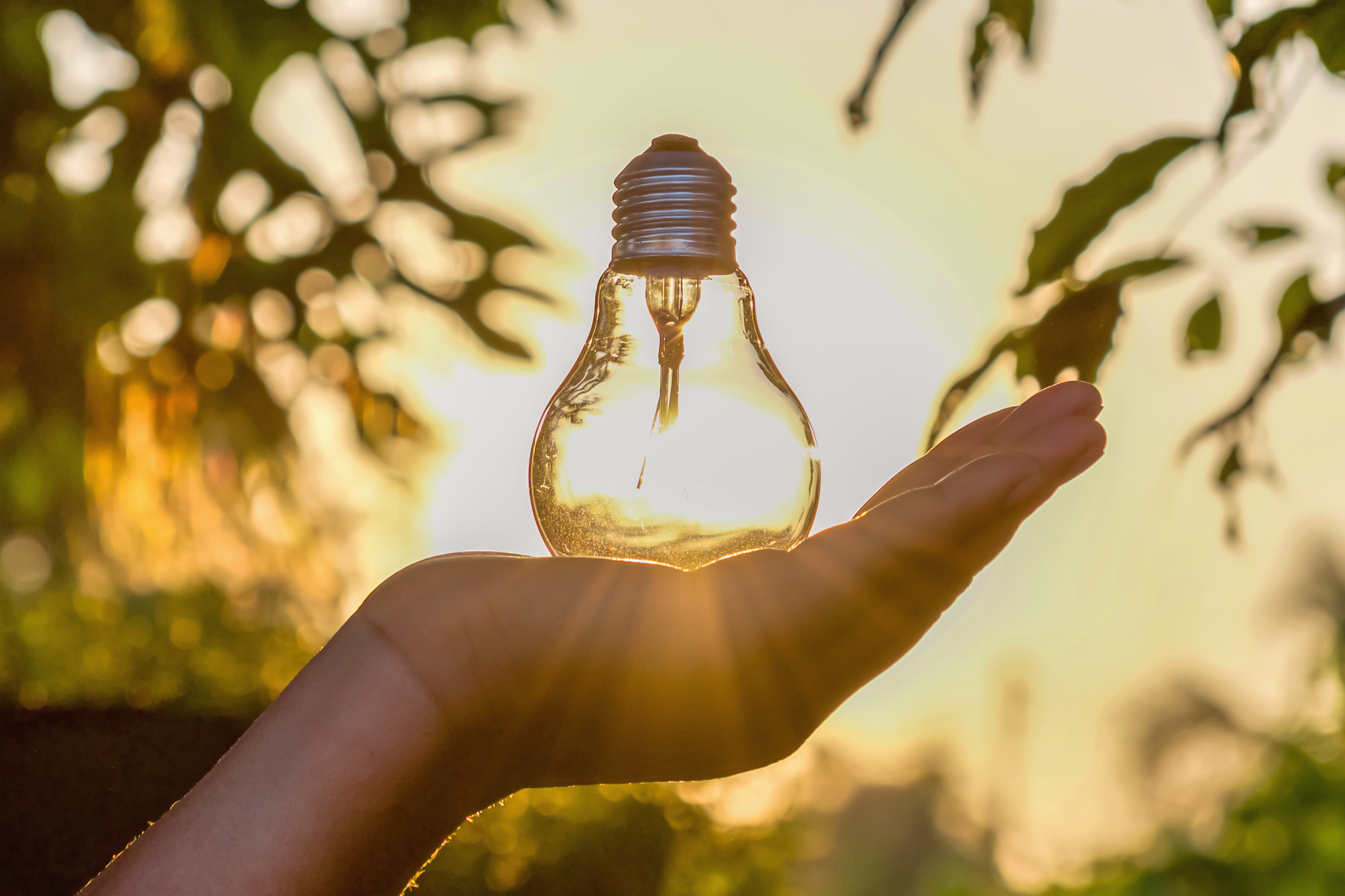 Ahorro de energía